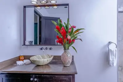 a bathroom with a vase with red flowers on a counter at Makara Rio Suite / Ground Floor in Uvita