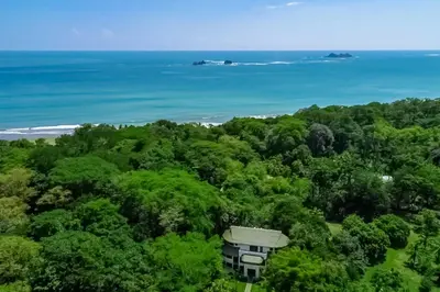 an aerial view of a forest with the ocean at Makara Mono Suite / 2nd Floor in Uvita