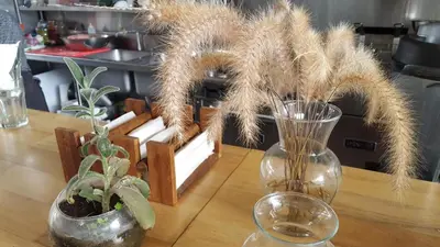 a table with two vases and plants on it at OutBox Inn in Monteverde Costa Rica