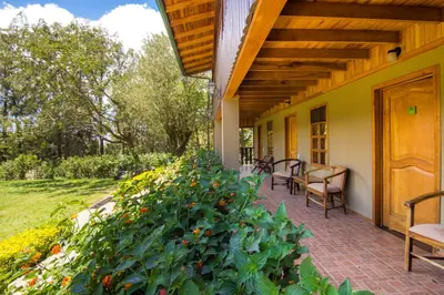a patio with chairs and plants on a house at Monteverde Country Lodge - Costa Rica in Monteverde Costa Rica