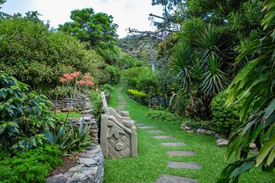 a garden with a stone path and plants at Hotel & Spa Poco a Poco - Costa Rica in Monteverde Costa Rica
