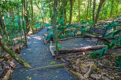a bench sitting on a path in a forest at Hotel & Spa Poco a Poco - Costa Rica in Monteverde Costa Rica