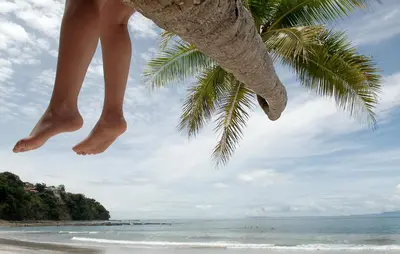 a person standing on a palm tree on the beach at Hotel Punta Leona in Jacó