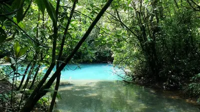 a stream in the middle of a forest with blue water at Celeste Mountain Lodge in Bijagua