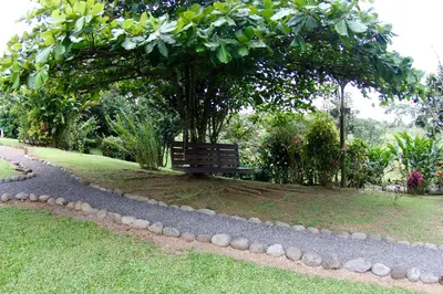a park bench under a tree in a park at Epic Adventure Lodge in San Miguel