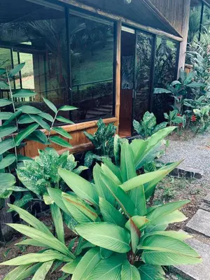 a house with a bunch of plants in front of it at Epic Adventure Lodge in San Miguel