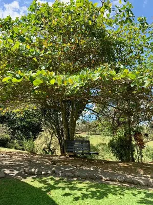 a park bench under a tree in a field at Epic Adventure Lodge in San Miguel