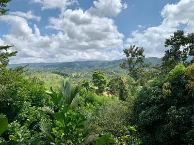 a view of a forest with mountains in the background at Epic Adventure Lodge in San Miguel