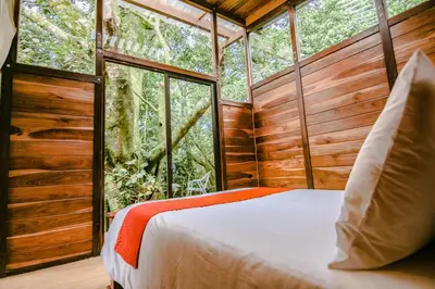 a bedroom in a tree house in the woods at Casa Higueron in Monteverde Costa Rica