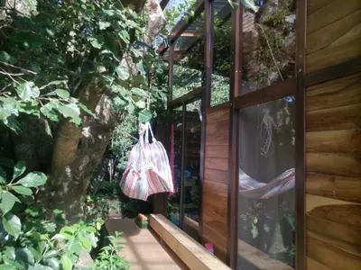 a door with a bag hanging from it next to a tree at Casa Higueron in Monteverde Costa Rica