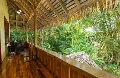 a porch of a house with a view of the forest at Copa De Arbol Beach & Rainforest Resort in Drake