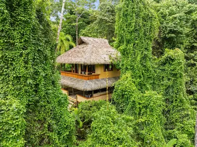 a house in the middle of a hill covered in trees at Copa De Arbol Beach & Rainforest Resort in Drake