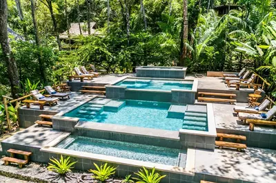 an infinity pool with lounge chairs and a resort at Copa De Arbol Beach & Rainforest Resort in Drake
