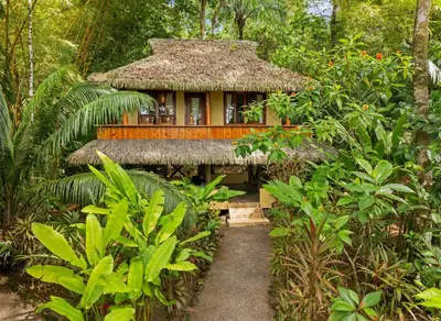 a small hut in the middle of a forest at Copa De Arbol Beach & Rainforest Resort in Drake