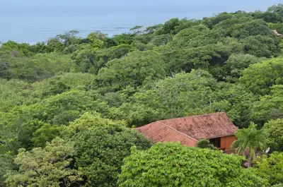 a house in the middle of a forest of trees at Hacienda Barrigona in Sámara