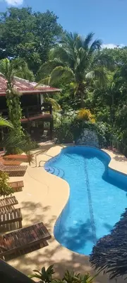 a swimming pool next to a resort with palm trees at Massai Apartments in Playa Flamingo