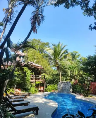 a pool at a resort with palm trees at Massai Apartments in Playa Flamingo
