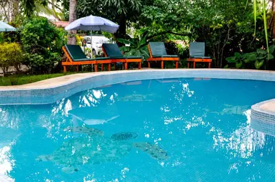 a swimming pool with two chairs and an umbrella at Hotel Entre Dos Aguas in Sámara