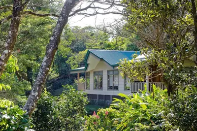 a house in the middle of a forest at Senda Monteverde Hotel Member of the Cayuga Collection in Monteverde Costa Rica