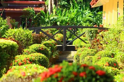 a small black bridge in a garden with flowers at La Foresta Nature Resort in Quepos