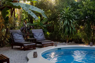 a backyard with a pool and two chairs and trees at Samara Chillout Lodge - Adults only in Sámara