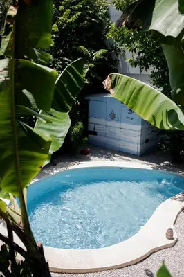 a hot tub with a large green plant next to it at Samara Chillout Lodge - Adults only in Sámara