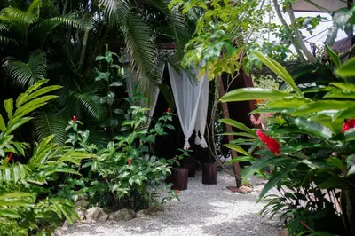 a garden with many plants and a white umbrella at Samara Chillout Lodge - Adults only in Sámara