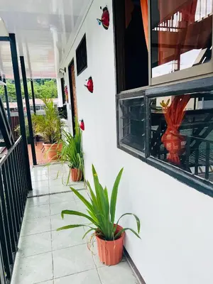 a porch with potted plants on the side of a house at Nomada's Digital in Manuel Antonio