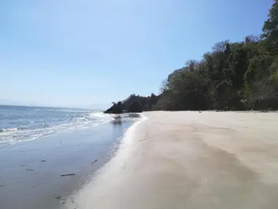 a sandy beach with trees and the ocean at El Gecko Hotel & Tours in Paquera
