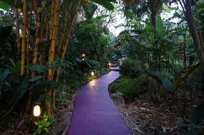 a purple path in the middle of a garden with lights at Dos Casitas in Ojochal