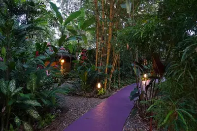 a purple path in the middle of a garden with lights at Dos Casitas in Ojochal