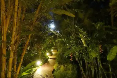 a garden at night with trees and lights at Dos Casitas in Ojochal