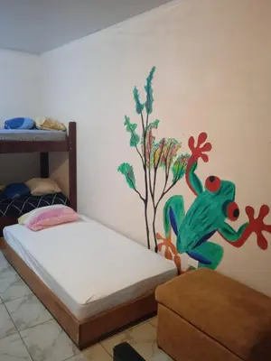 a bedroom with a bed with a painting of a frog on the wall at Mi Casa Tica in Monteverde Costa Rica
