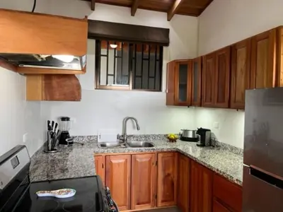 a kitchen with wooden cabinets and a sink and a refrigerator at Villas Lambeau Ocean View 1 in Uvita