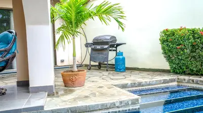 a palm tree in a pot next to a pool at CWC Casa Wasabi 1bedroom 1bathroom in Tamarindo