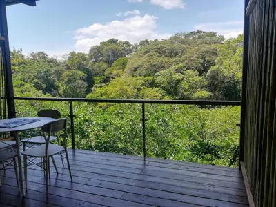 a balcony with a table and chairs and a view of trees at Hotel Pibi Boreal in Alajuela City