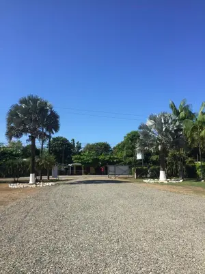 a gravel road with palm trees in the background at Hotel Las Palmas de OSA in Ciudad Cortés
