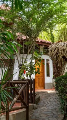 a small house with a tree in front of it at Hotel Luna Llena in Tamarindo