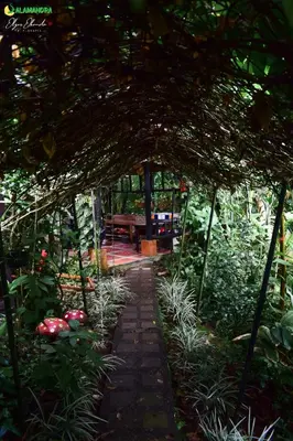 a pathway in a garden with a bench in the background at Salamandra Costa Rica in Jiménez