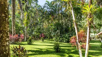 a lush green park with palm trees and grass at Hotel Villas Rio Mar in Dominical