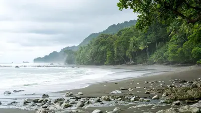 a beach with a bunch of rocks and the ocean at Hotel Villas Rio Mar in Dominical