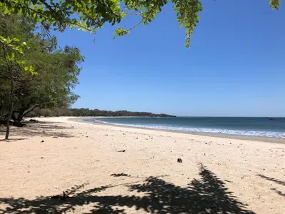 a sandy beach with trees and the ocean at Matapalo Diria #504 Amazing Condo-Ocean View in Tamarindo