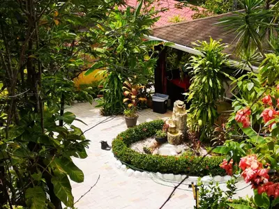a garden with a fire hydrant and some plants at Hotel Belvedere Playa Samara Costa Rica in Sámara