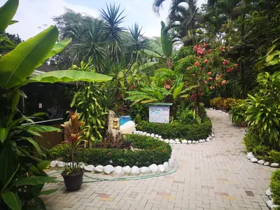 a garden with many different plants and flowers at Hotel Belvedere Playa Samara Costa Rica in Sámara