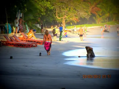 a woman walking on the beach with a dog at Hotel Belvedere Playa Samara Costa Rica in Sámara