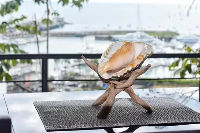 a figurine of a snail sitting on top of a table at Casa Federico in Quepos