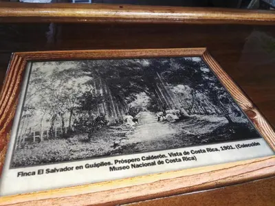 Gallery image of Hotel Rancho Las Cabañas in Guápiles