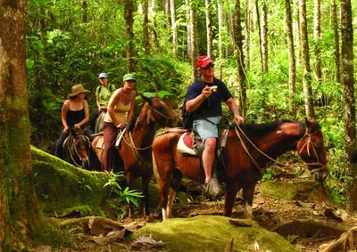 a group of people riding horses in the woods at Hotel Cuna del Angel in Uvita