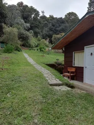 a house with a stone path next to a building at Miriam'S Quetzals lodge in San Gerardo de Dota