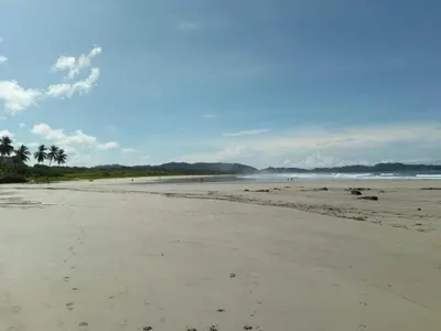 an empty beach with palm trees in the distance at 1 Bedroom G-Land Burnt Toast Surfcamp in Nosara